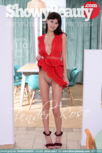 Today's Gallery Update